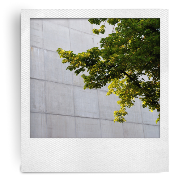 Lazarus Maverisk Polaroid Gallery 07