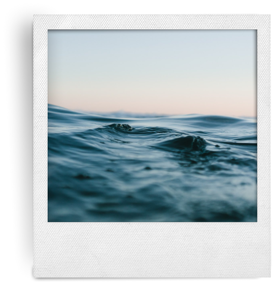 Lazarus Maverisk Polaroid Gallery 12