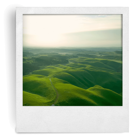 Lazarus Maverisk Polaroid Gallery 09 2